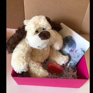 Teddy dog heartbeat, book for motherhood, and box